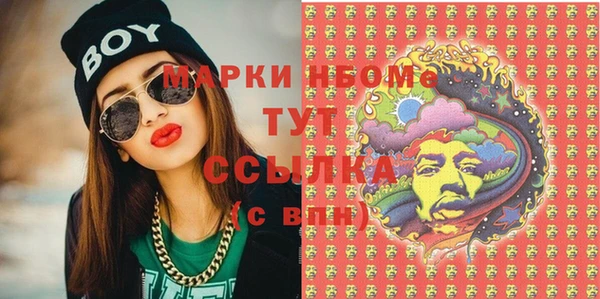 сатива Абинск