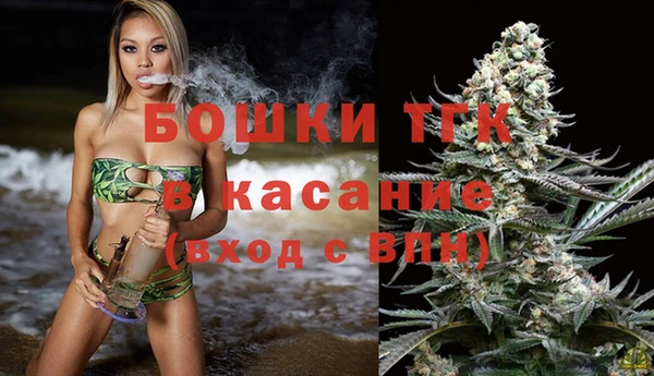 сатива Абинск