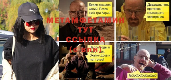 сатива Абинск