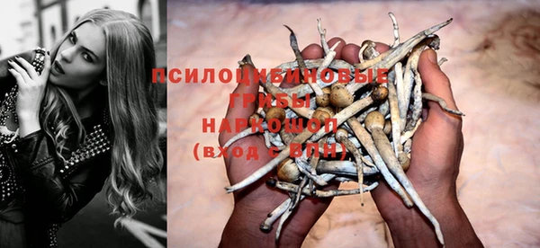 сатива Абинск