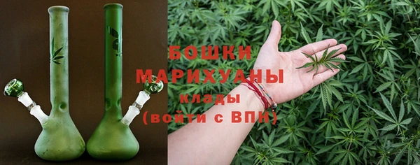 сатива Абинск