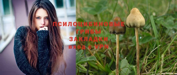 сатива Абинск