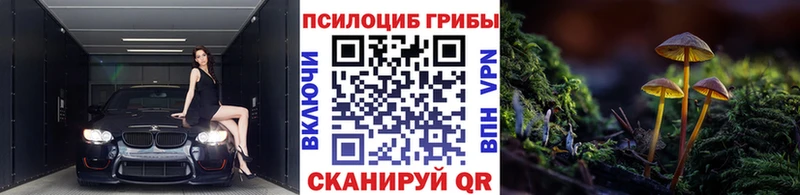 Псилоцибиновые грибы Psilocybine cubensis  Нахабино 
